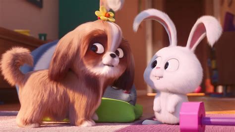 secret life of pets nude|Rule34